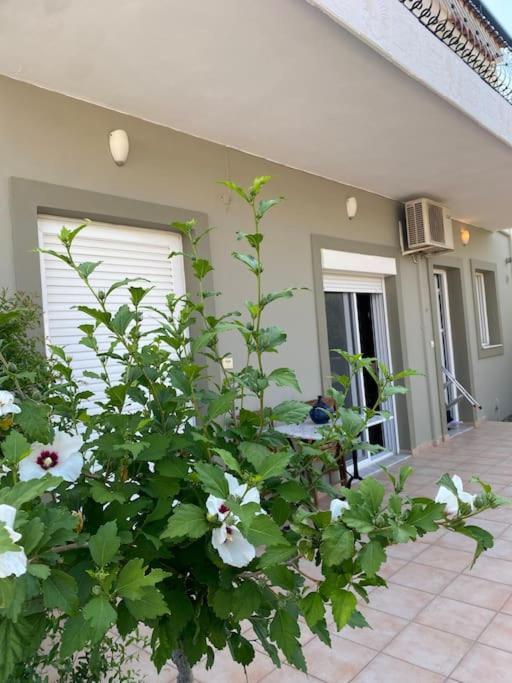 Ilisia Neapoli Apartments 1 Neápolis Zewnętrze zdjęcie